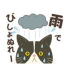 梅雨だよ！大雨注意【ハチワレコンビ】（個別スタンプ：10）