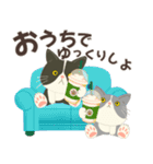 梅雨だよ！大雨注意【ハチワレコンビ】（個別スタンプ：11）