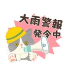 梅雨だよ！大雨注意【ハチワレコンビ】（個別スタンプ：13）