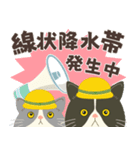梅雨だよ！大雨注意【ハチワレコンビ】（個別スタンプ：15）