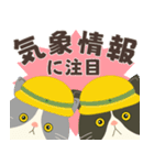 梅雨だよ！大雨注意【ハチワレコンビ】（個別スタンプ：16）