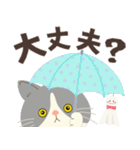 梅雨だよ！大雨注意【ハチワレコンビ】（個別スタンプ：17）