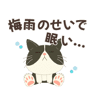 梅雨だよ！大雨注意【ハチワレコンビ】（個別スタンプ：18）