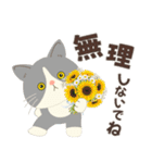 梅雨だよ！大雨注意【ハチワレコンビ】（個別スタンプ：19）