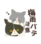梅雨だよ！大雨注意【ハチワレコンビ】（個別スタンプ：20）
