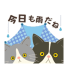 梅雨だよ！大雨注意【ハチワレコンビ】（個別スタンプ：21）