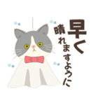 梅雨だよ！大雨注意【ハチワレコンビ】（個別スタンプ：22）