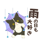 梅雨だよ！大雨注意【ハチワレコンビ】（個別スタンプ：23）