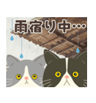 梅雨だよ！大雨注意【ハチワレコンビ】（個別スタンプ：24）