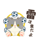 梅雨だよ！大雨注意【ハチワレコンビ】（個別スタンプ：27）