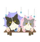 梅雨だよ！大雨注意【ハチワレコンビ】（個別スタンプ：29）