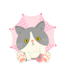 梅雨だよ！大雨注意【ハチワレコンビ】（個別スタンプ：30）