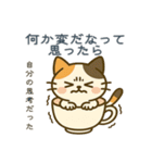 感情まろやかネコ（時々ドス）（個別スタンプ：5）