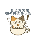 感情まろやかネコ（時々ドス）（個別スタンプ：12）