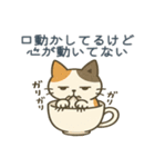 感情まろやかネコ（時々ドス）（個別スタンプ：13）
