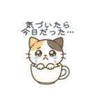 感情まろやかネコ（時々ドス）（個別スタンプ：23）