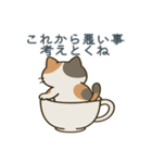 感情まろやかネコ（時々ドス）（個別スタンプ：24）