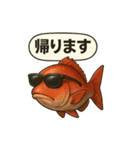 鯛 ららら（個別スタンプ：10）