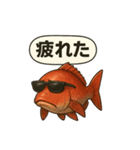 鯛 ららら（個別スタンプ：12）