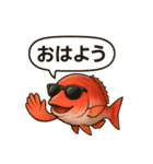 鯛 ららら（個別スタンプ：19）