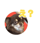 レオンとルーク【1】（個別スタンプ：1）