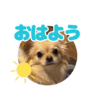 レオンとルーク【1】（個別スタンプ：2）