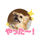 レオンとルーク【1】（個別スタンプ：3）