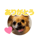 レオンとルーク【1】（個別スタンプ：7）