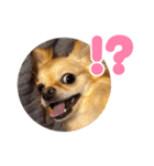 レオンとルーク【1】（個別スタンプ：9）