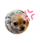 レオンとルーク【1】（個別スタンプ：14）