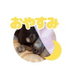 レオンとルーク【1】（個別スタンプ：24）