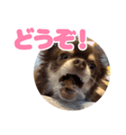 レオンとルーク【1】（個別スタンプ：26）