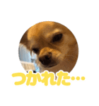 レオンとルーク【1】（個別スタンプ：27）