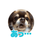 レオンとルーク【1】（個別スタンプ：28）