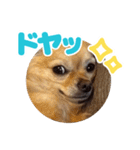 レオンとルーク【1】（個別スタンプ：37）
