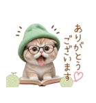 スコティッシュ猫 眼鏡可愛いメロン帽 敬語（個別スタンプ：6）