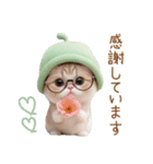 スコティッシュ猫 眼鏡可愛いメロン帽 敬語（個別スタンプ：7）