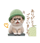 スコティッシュ猫 眼鏡可愛いメロン帽 敬語（個別スタンプ：8）