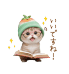 スコティッシュ猫 眼鏡可愛いメロン帽 敬語（個別スタンプ：10）