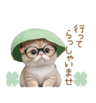 スコティッシュ猫 眼鏡可愛いメロン帽 敬語（個別スタンプ：16）