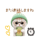 スコティッシュ猫 眼鏡可愛いメロン帽 敬語（個別スタンプ：26）