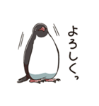アデリーペンギンのまいにち（個別スタンプ：2）