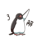 アデリーペンギンのまいにち（個別スタンプ：4）