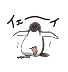 アデリーペンギンのまいにち（個別スタンプ：6）