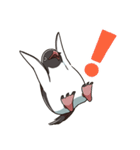 アデリーペンギンのまいにち（個別スタンプ：11）