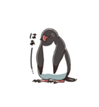 アデリーペンギンのまいにち（個別スタンプ：15）