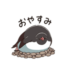 アデリーペンギンのまいにち（個別スタンプ：18）