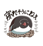 アデリーペンギンのまいにち（個別スタンプ：19）