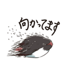 アデリーペンギンのまいにち（個別スタンプ：23）