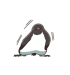 アデリーペンギンのまいにち（個別スタンプ：26）